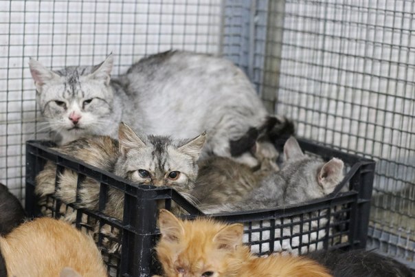 19925C72-EDFF-4938-975D-371B87E5FD1A