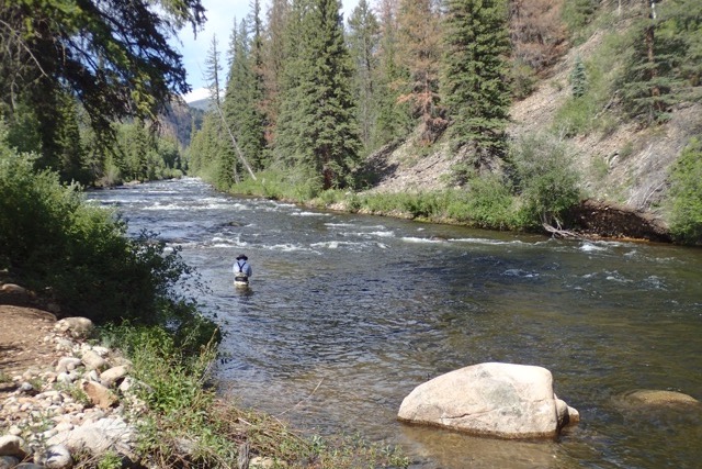 Wilder-Blog-Feature-July-2017