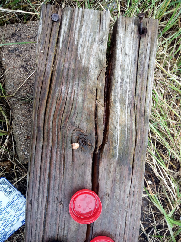 IMG_20250713_133928_334