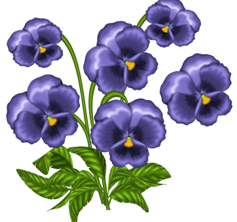 0_1c0b05_8cfe4bdf_orig