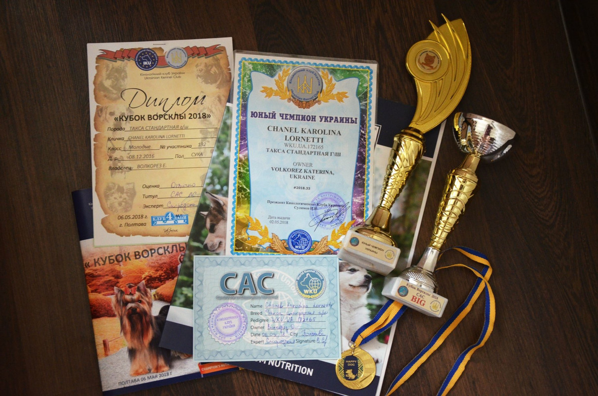 35E06168-AF5D-4764-9298-D53CBE93FECD