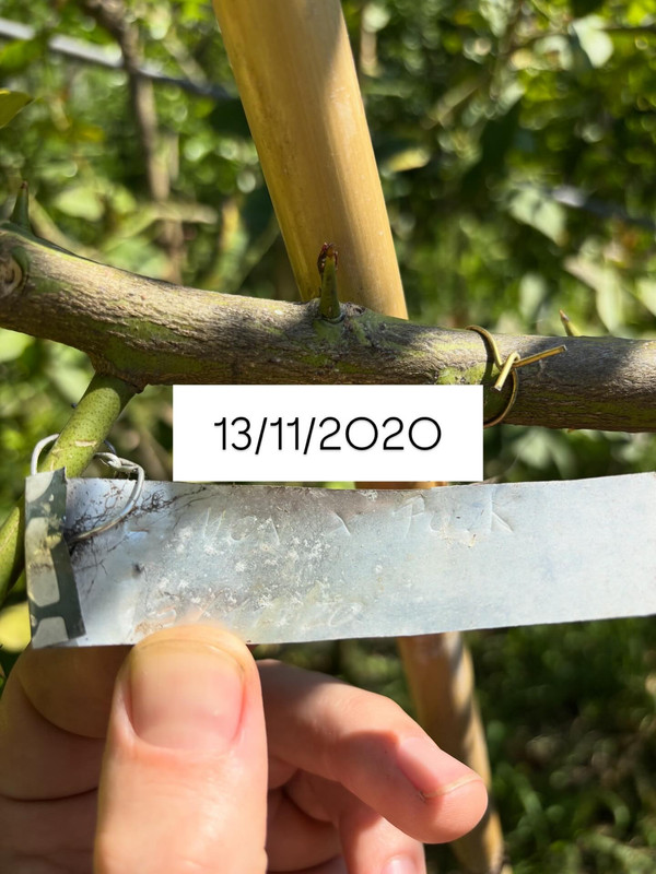 1619AC15-346B-4C21-A7EA-02856890F31F