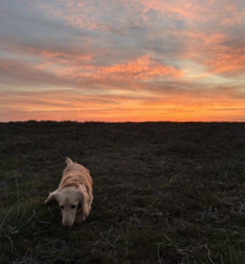 [Image: IMG-9420.jpg]