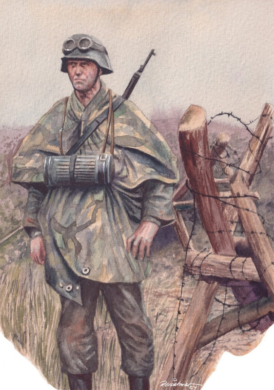 renato dalmaso img 5124