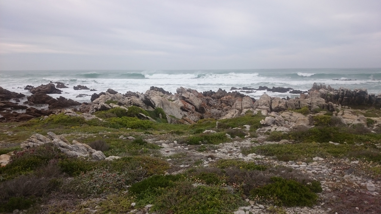 DSC_01 (232)