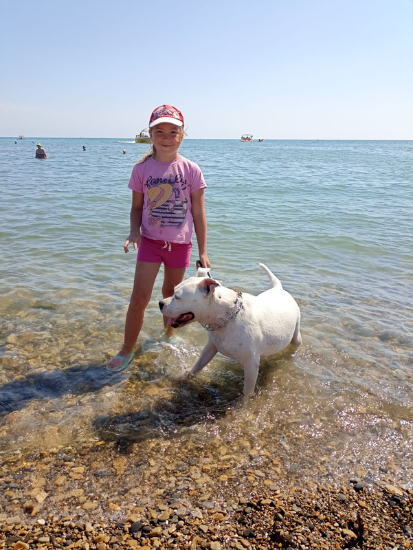 49926B44-07CF-4EC1-BBCC-B2B9C3F05A10