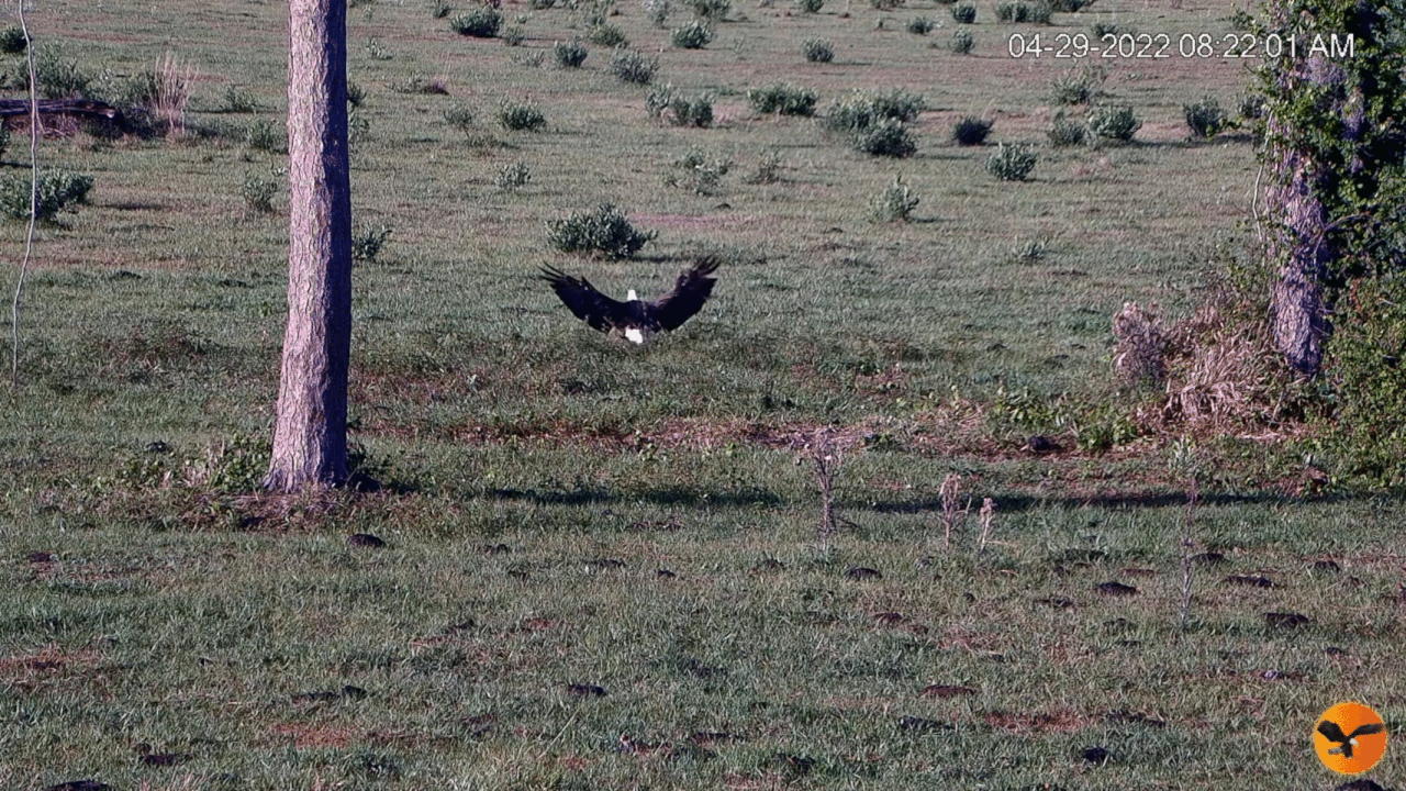 Webp.net-gifmaker (3)