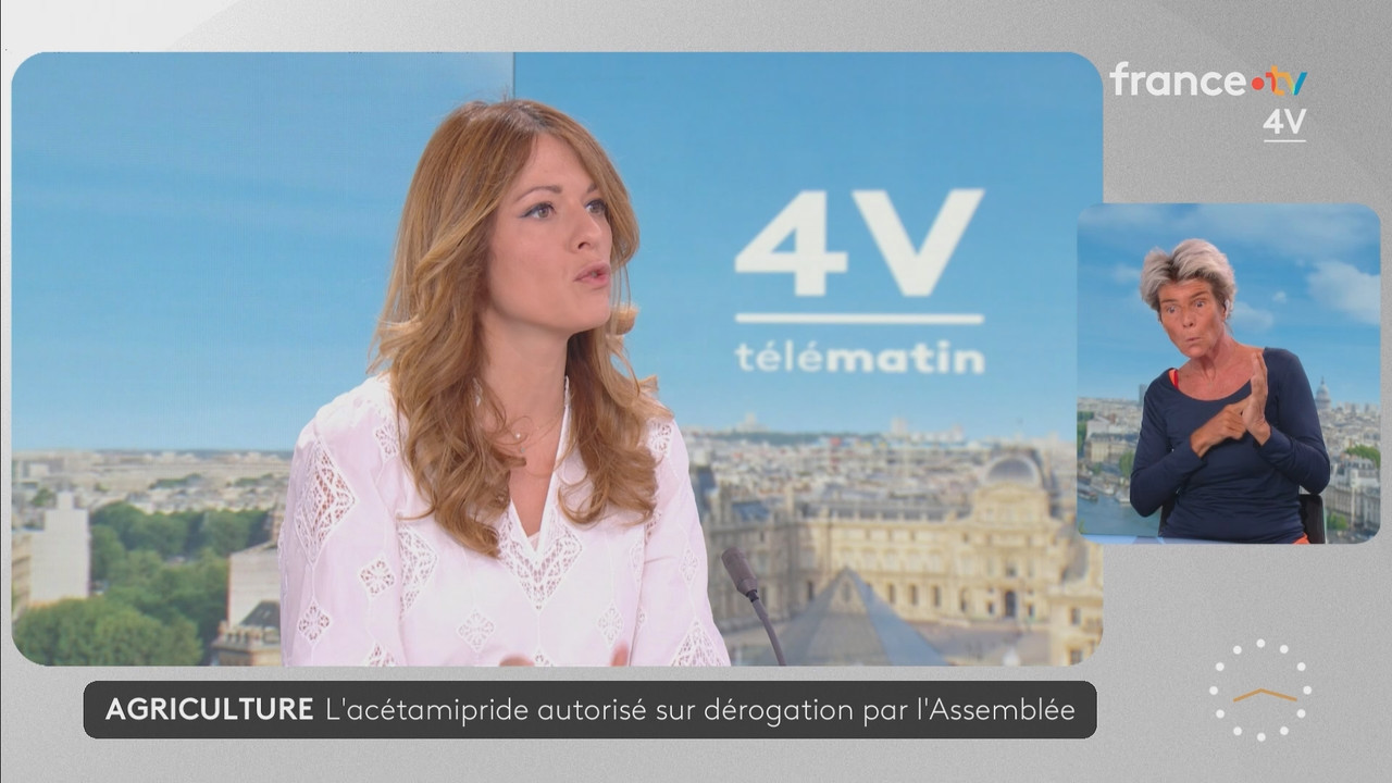 Journal 08h00 (France 2) 2026 07 21 06 55 81 ts snapshot 23 00 143