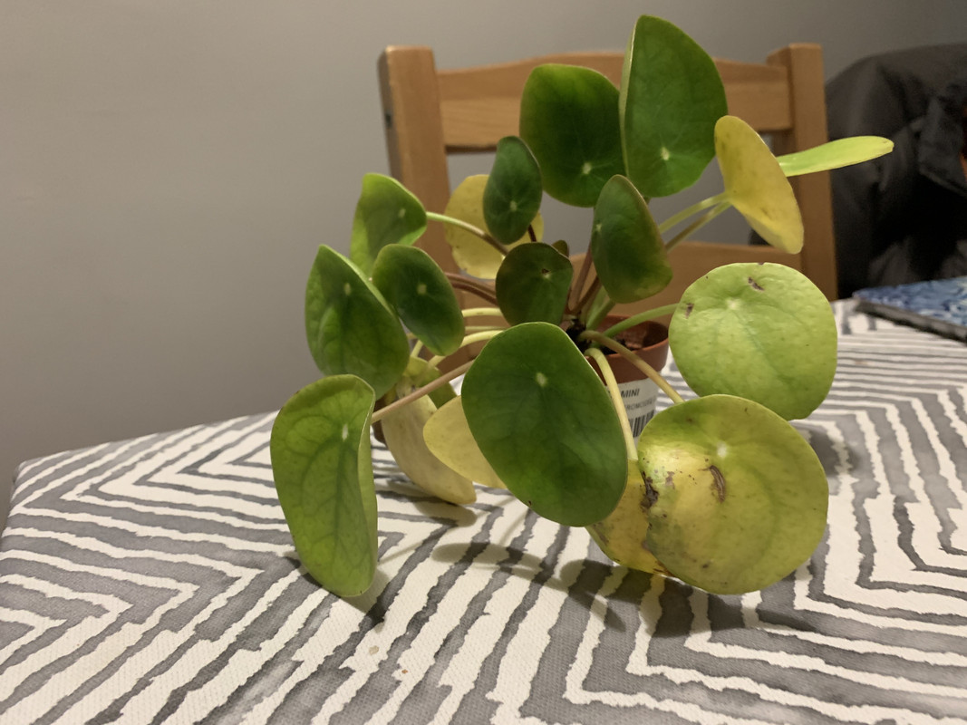 D2E27D82-62A1-4AF4-AB4E-BE9DC990F76B