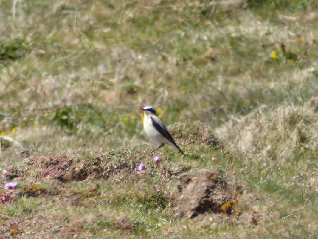 08621EC0-549B-43D0-A520-6F3A9ADC8E8A