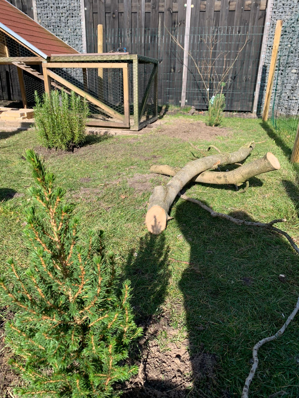 39314ef3-1bea-407a-9555-4560df135d90