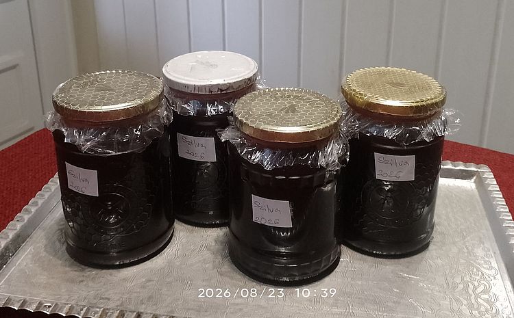 https://i.postimg.cc/9Ft3Ntwp/szilvalekvar-202608.jpg