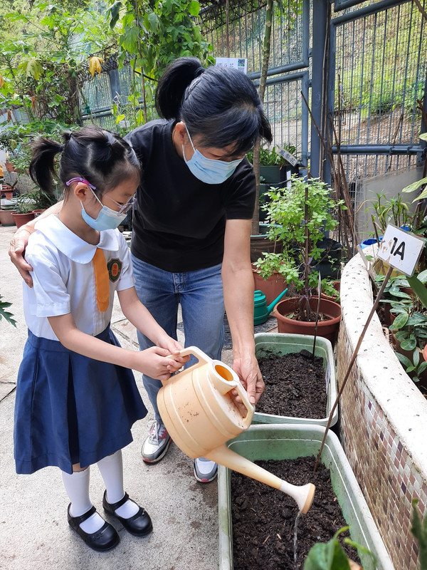 photo-littlefarmer2223-1A-020