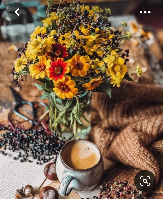 Screenshot_20230615_225810_Pinterest