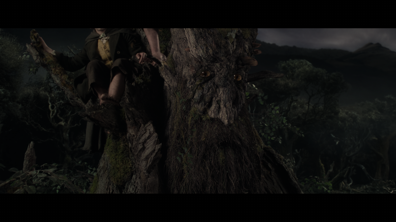 The Lord of the Rings- The Two Towers (EXT.) PT. 2.mkv_snapshot_01.21.47_[2020.12.11_21.45.07]