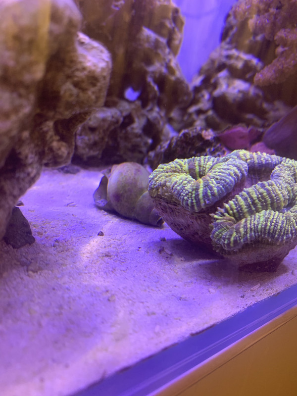 BD51408E-5F82-4FB1-93B3-DD3D3FB1C87D