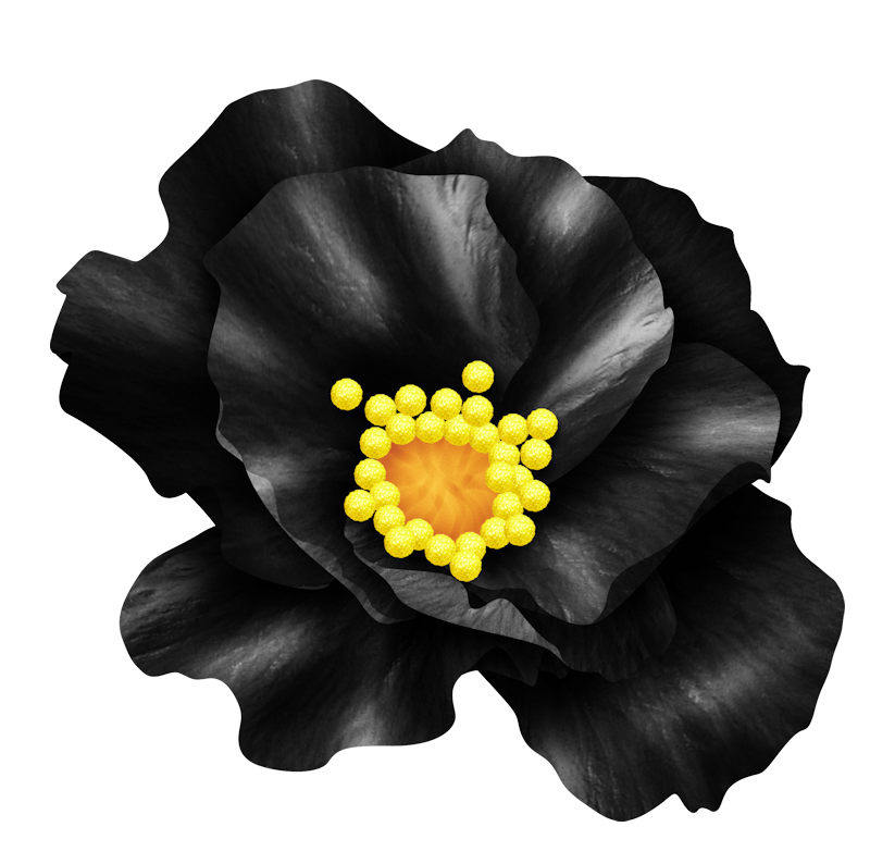 IPD_WP_Element (178)