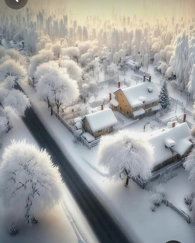 Screenshot_20230904_233552_Pinterest