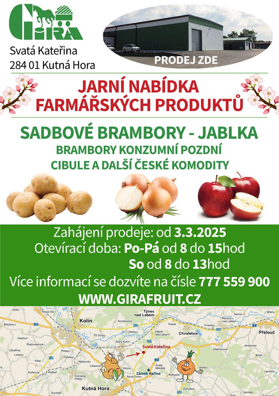 Brambory Na Uskladneni Svata Katerina (žlutou dužninou, uskladnění brambor, během skladování, dobrou skladovatelnost) Brambory Na Uskladneni Svata Katerina