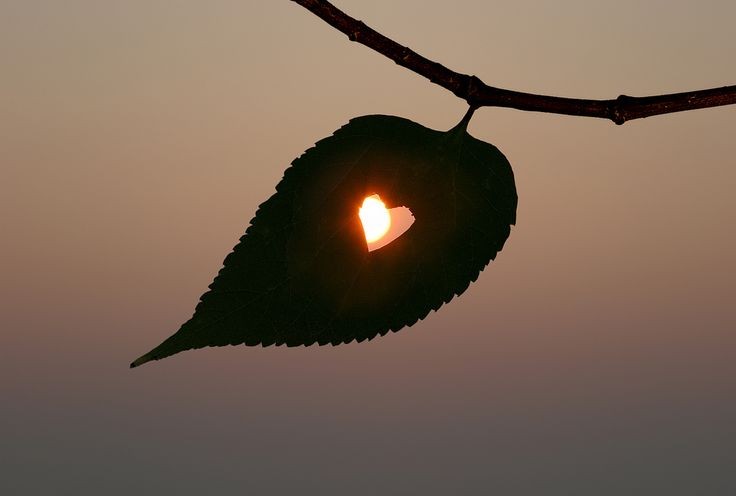 2f707e5c6923ab08d65cb6e83e4dde41