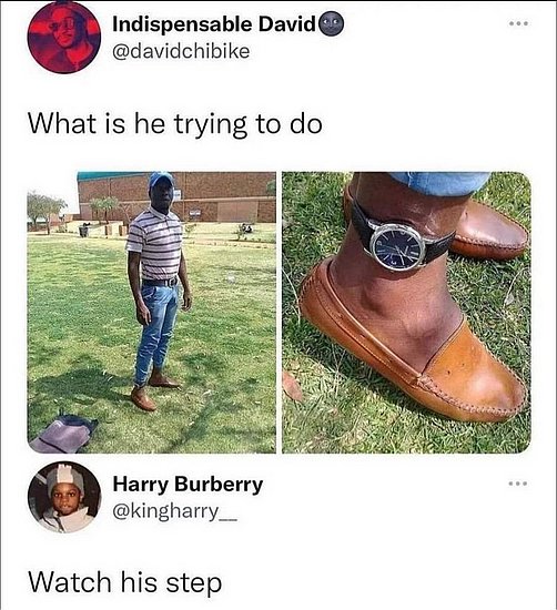 tn-24237.jpg
