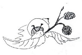 b6f7b0ed1786