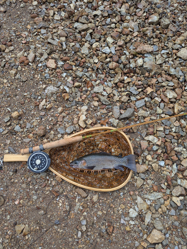 PXL_20250713_200204862