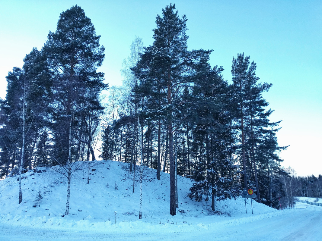 IMG-20190119-143618-01.jpg