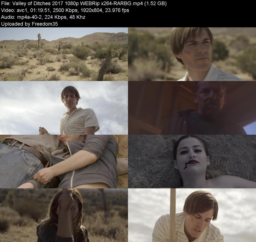 Valley-of-Ditches-2017-1080p-WEBRip-x264
