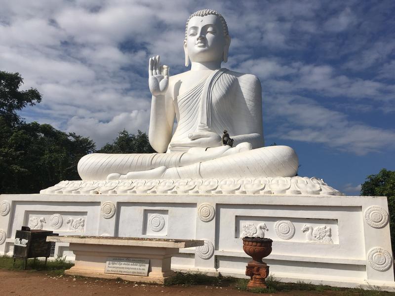 Navidad en Sri Lanka - Diciembre 2017 - Blogs de Sri Lanka - 22 de diciembre - Anuradhapura, Mihintale y Sigiriya (3)
