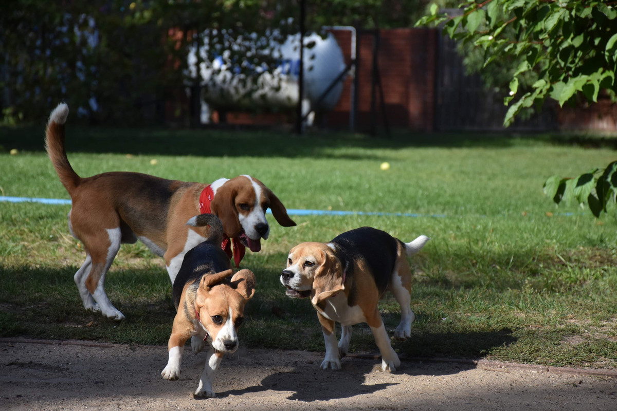 33E61E3F-D3F4-4594-9AAC-083686FE206C