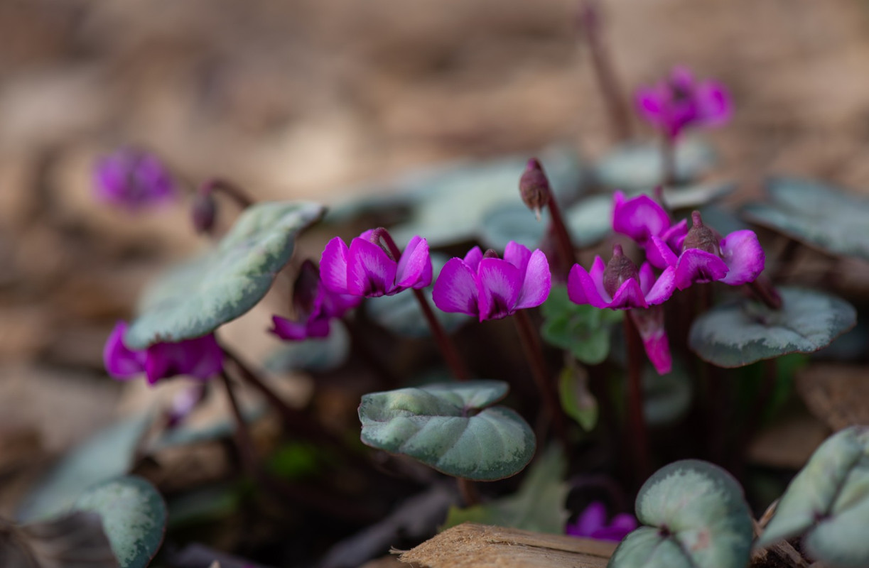 IMG-48f12a83641a994971390340ca250256-V