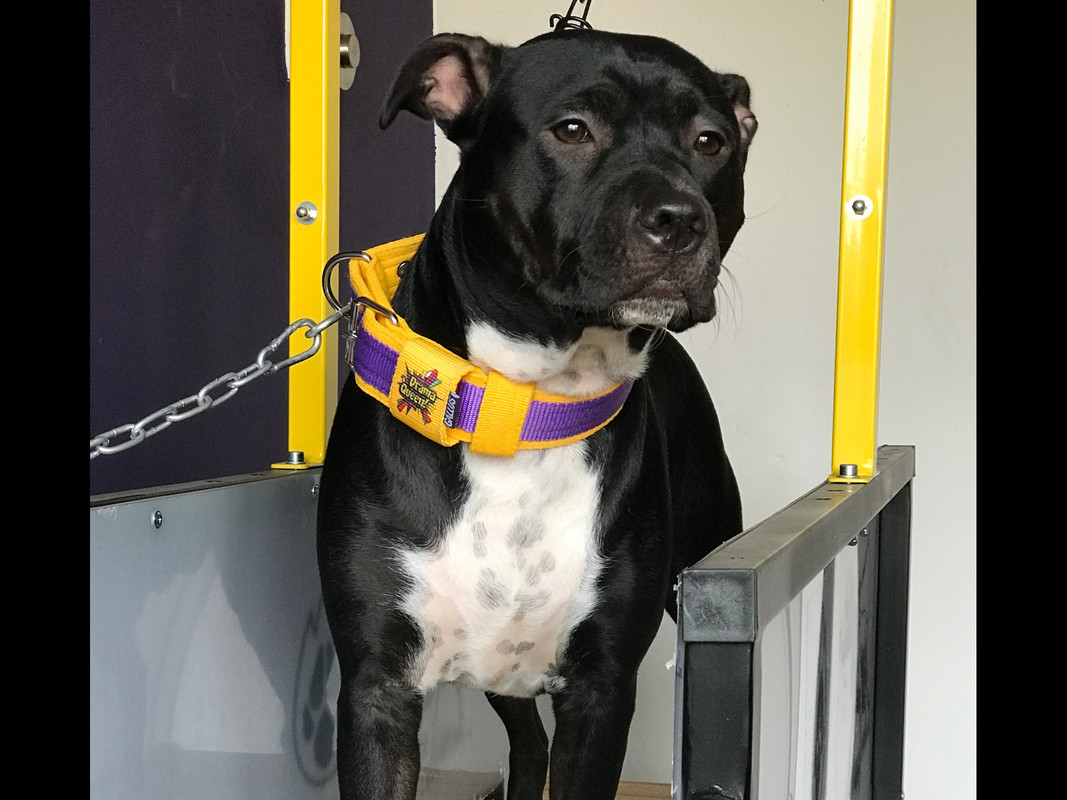 89D2A8DA-CD2F-4846-B8DC-CA265C1E41AA