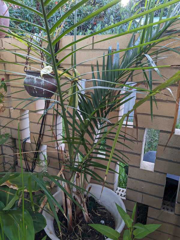 PXL_20241231_102235753