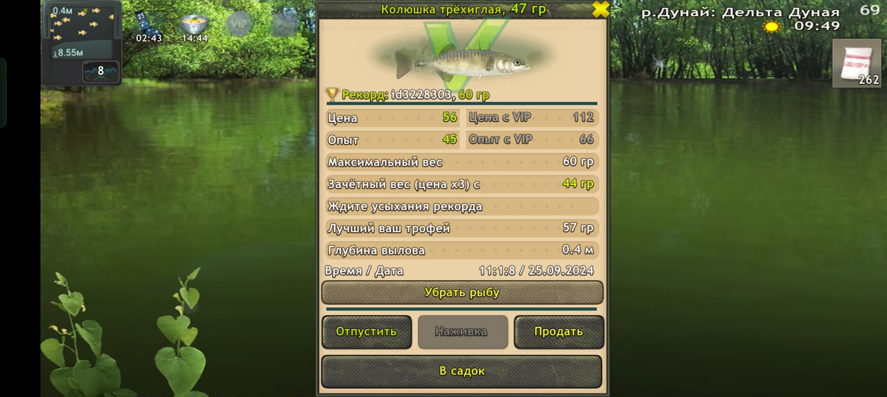 Screenshot-2024-09-25-11-01-13-68-fa28ee