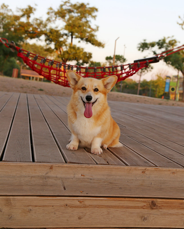 IMG_7881    17.07.21 АК Байрон