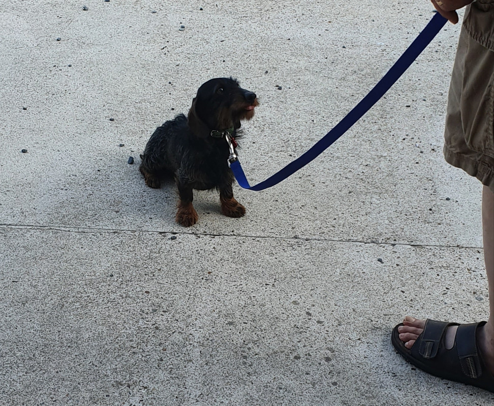 [Image: 20230626-070539.jpg]