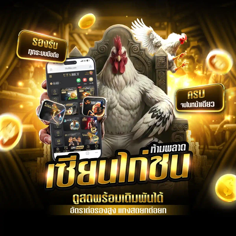 Cockfighting Experts Don't Miss ไก่ชนคุณภาพ ห้ามพลาด