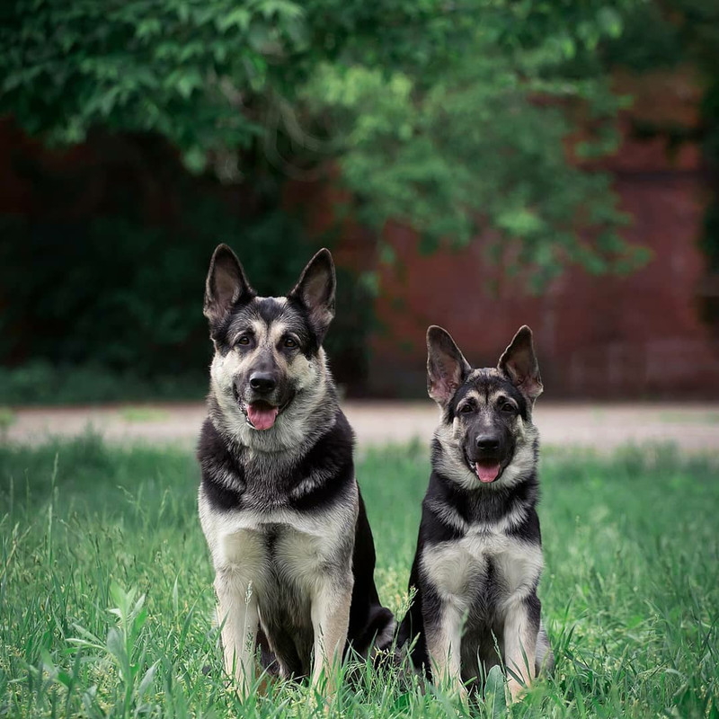 kvAbq4g5mTNvH04Ko97uBJt3DtcLNBdVKZoGxvt1EAcPFgWJp9UE0g7jfq-xJO3O6um7uoXAhuoRWHwHAFR94lHv