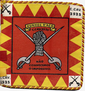 CCav2525