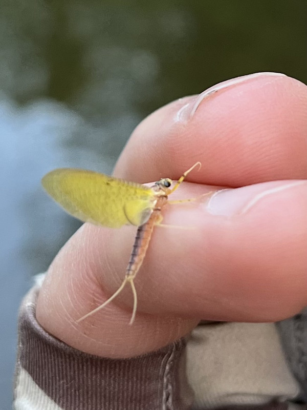 70822719063__508BC1E0-25FF-4BE8-82FF-63AF2FAA9B88