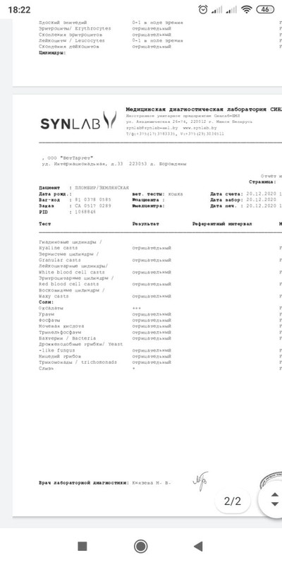 анализ мочи 02