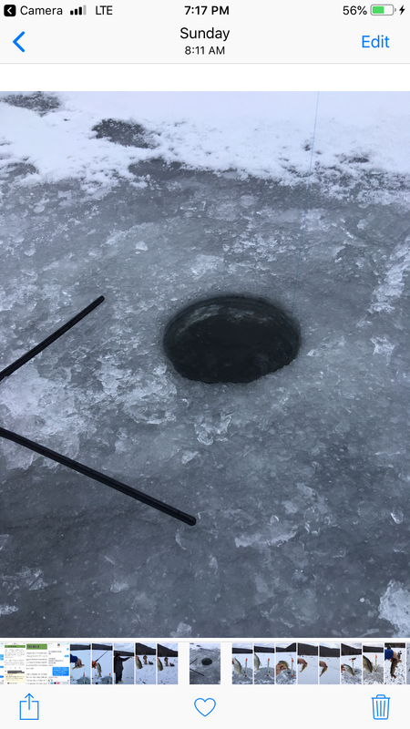 E1530C83-8897-4FEB-B4C4-41103A19E4E6