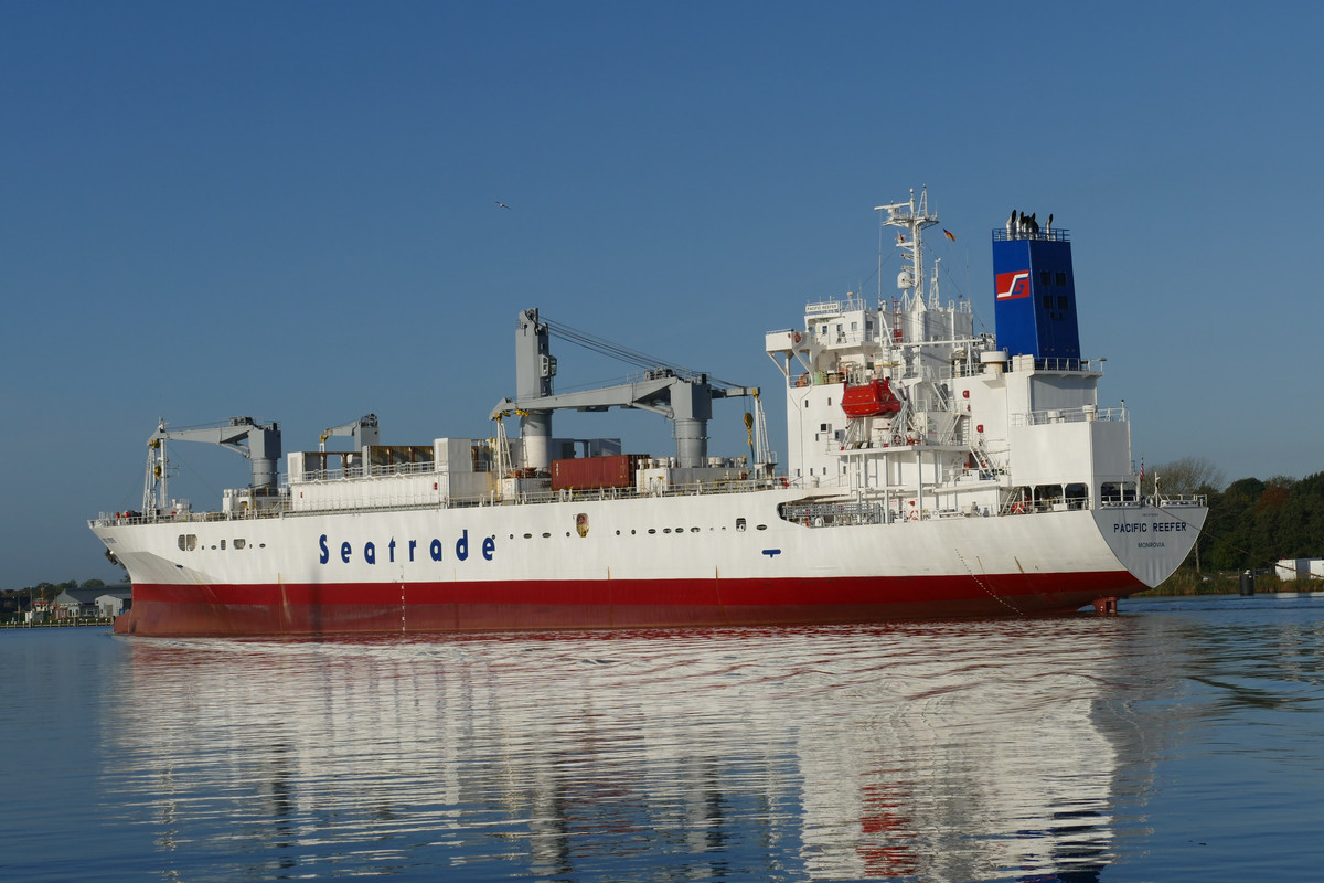 Pacific Reefer (OK-121022-4)