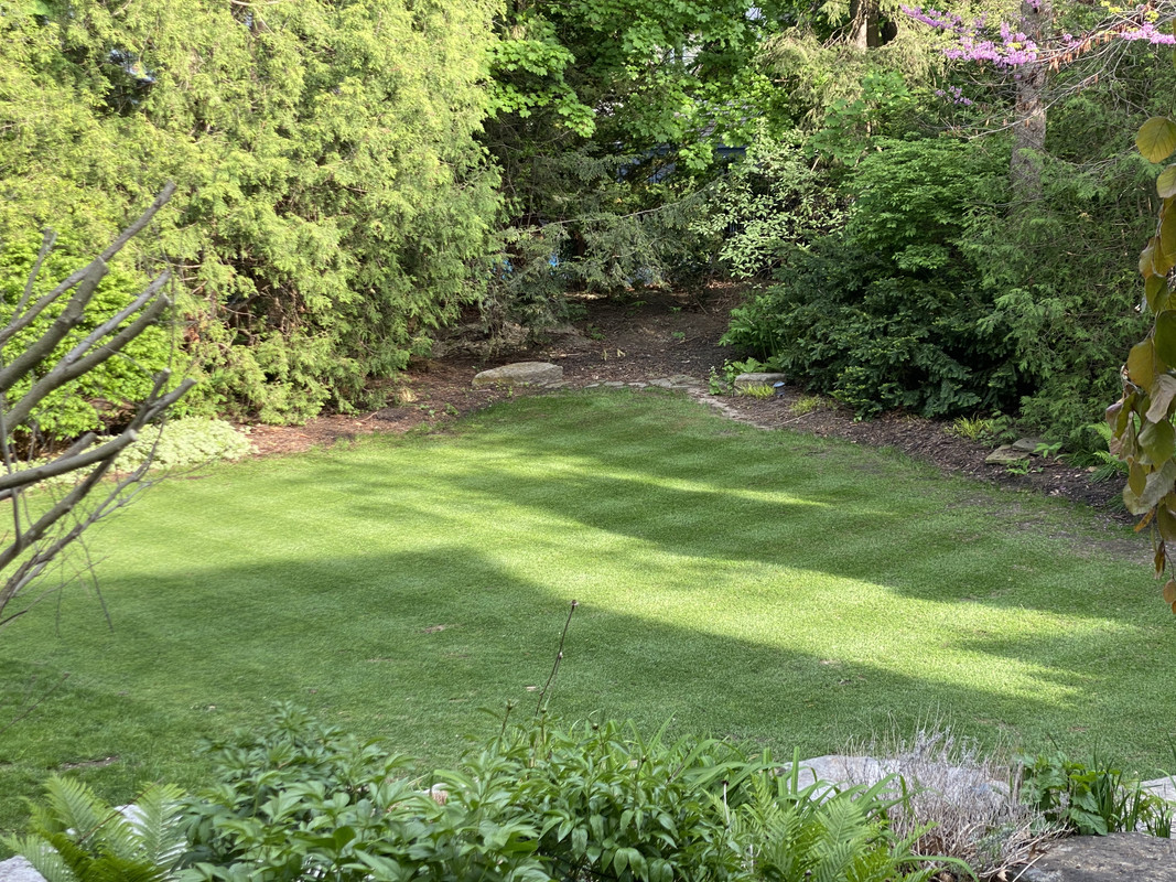 B162F70D-98FA-4DAC-9432-68464238791D