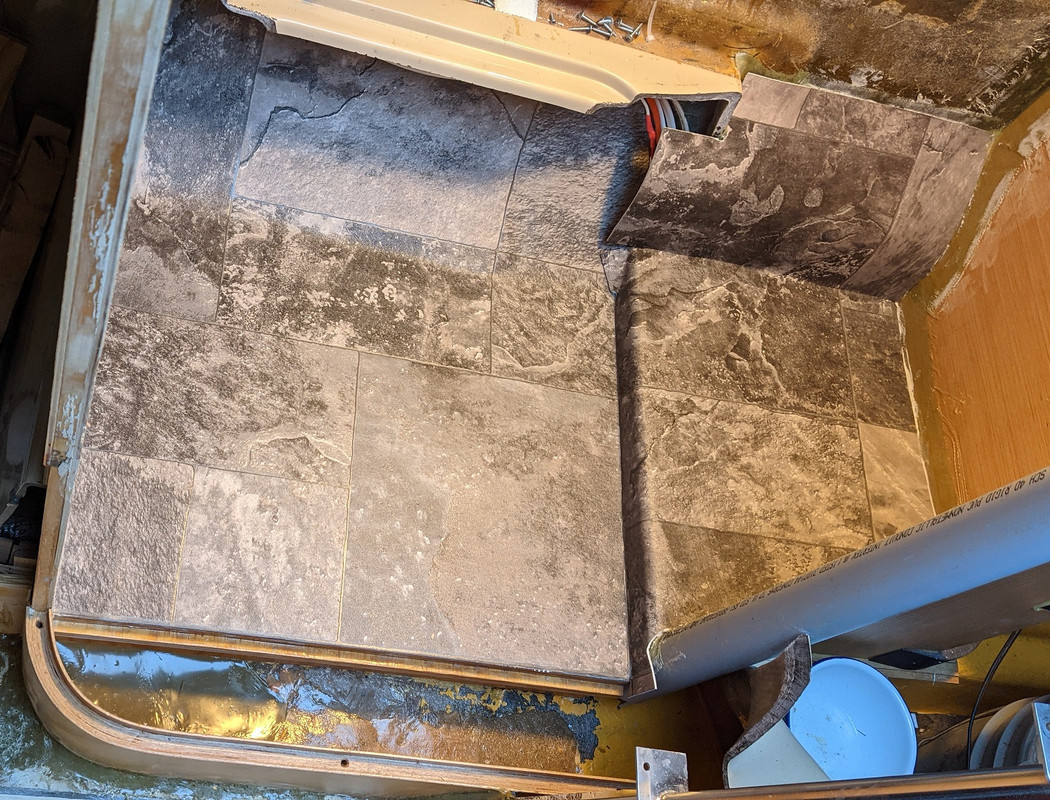 First Linoleum (6) Small