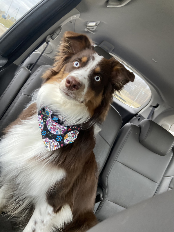 B7448C4B-22AD-440B-AEF4-470AE6796687