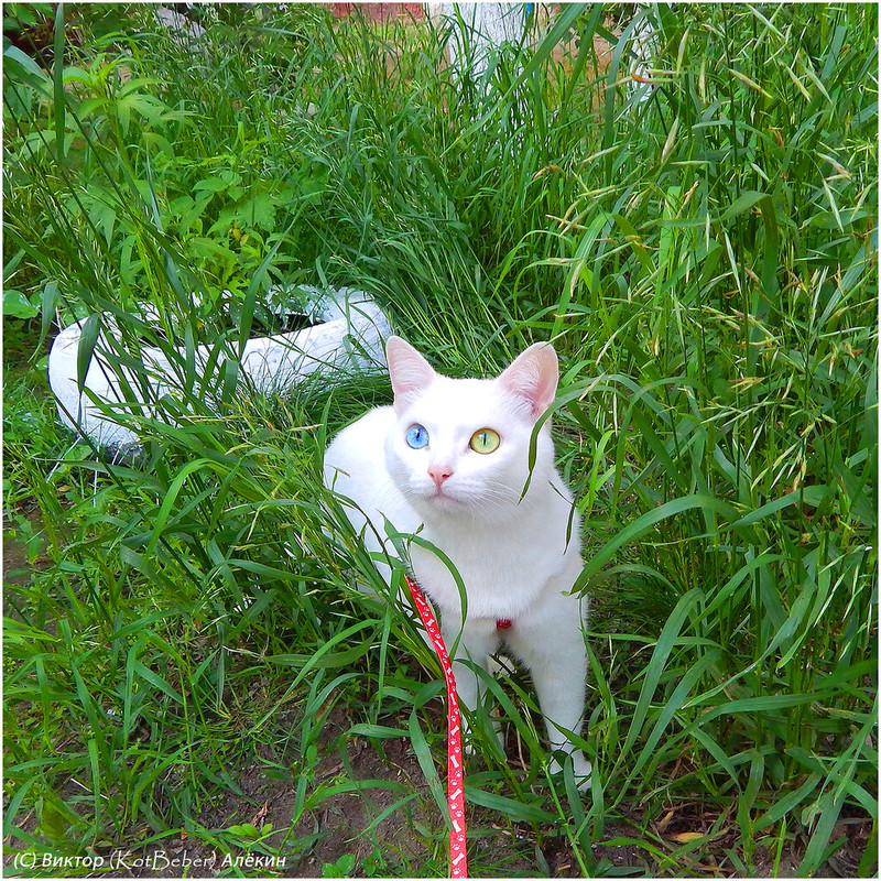 Изображение 047 копия