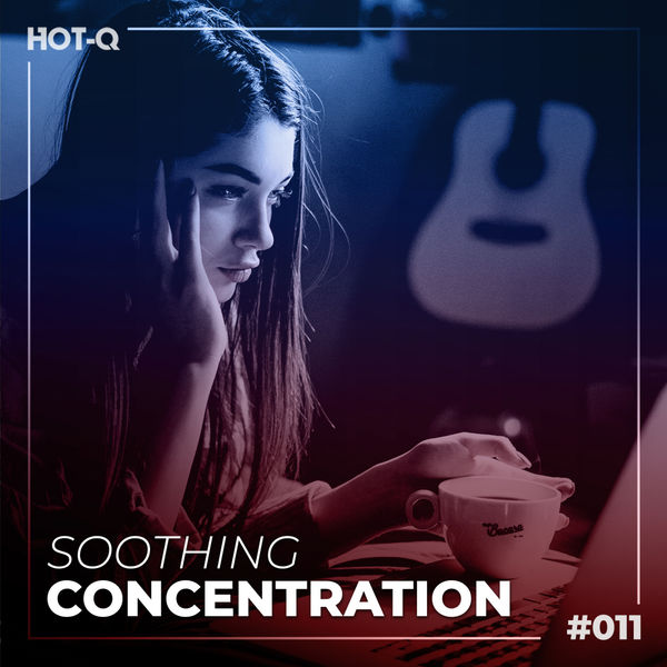 VA - Soothing Concentration 011 (2021)