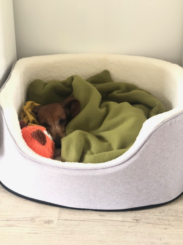 [Image: IMG-20241120-130244.jpg]